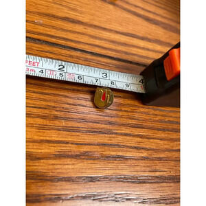 Holy Spirit Palm Dove Flame lapel pin vintage